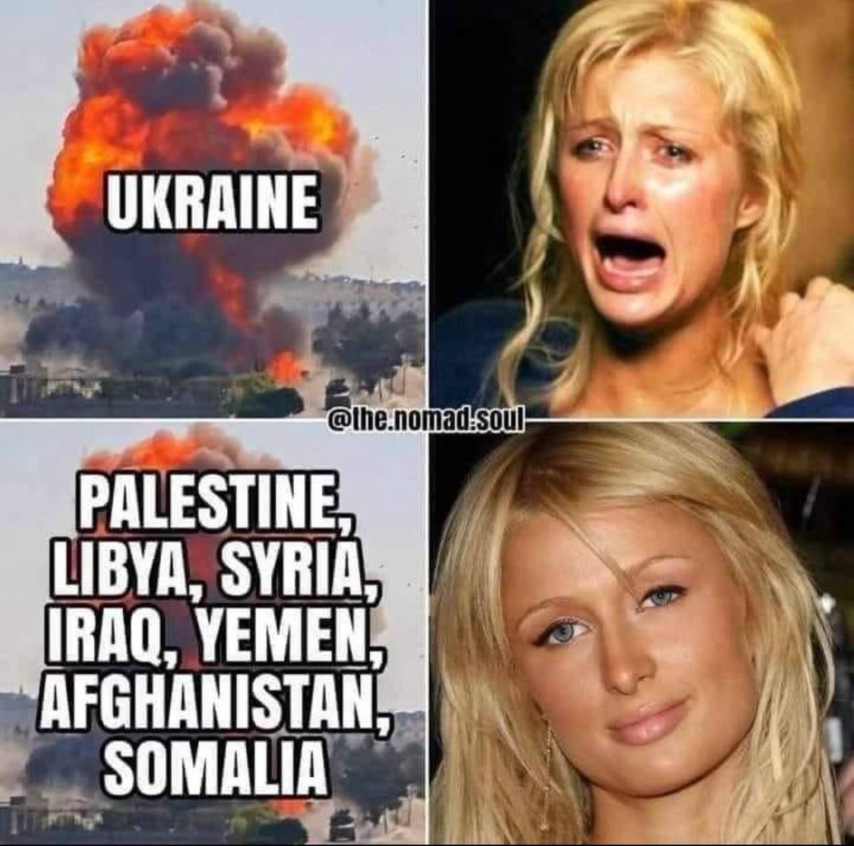 rabbitholebot tweet media