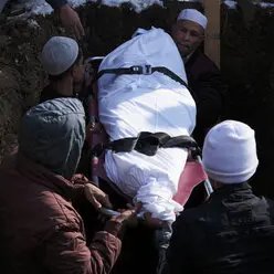 ✦✦✦ 𝙿𝚊𝚖𝚙𝚑𝚕𝚎𝚝𝚜 ✦✦✦ tweet media