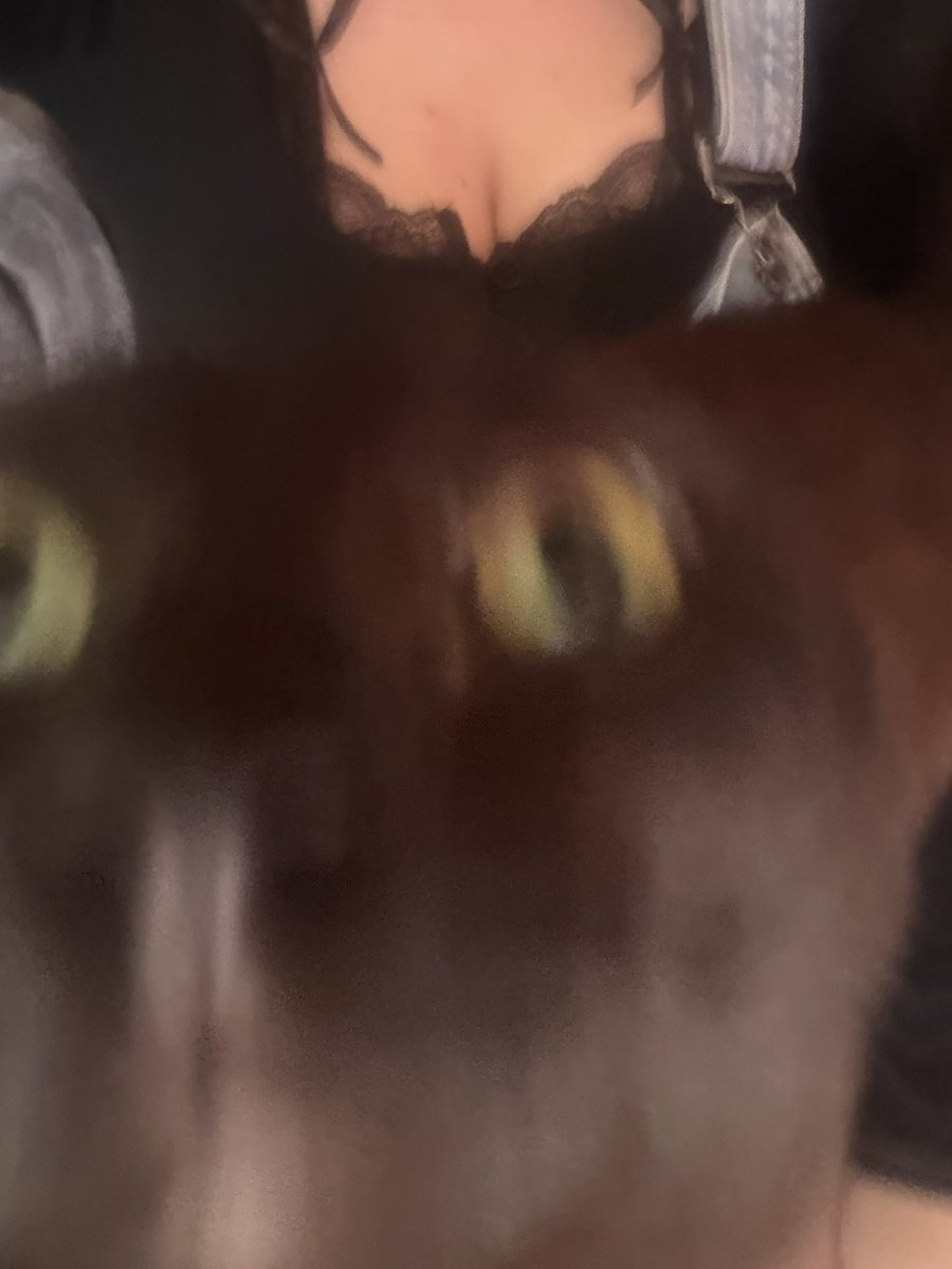 🎀 Misty 🎀 predebut tweet media