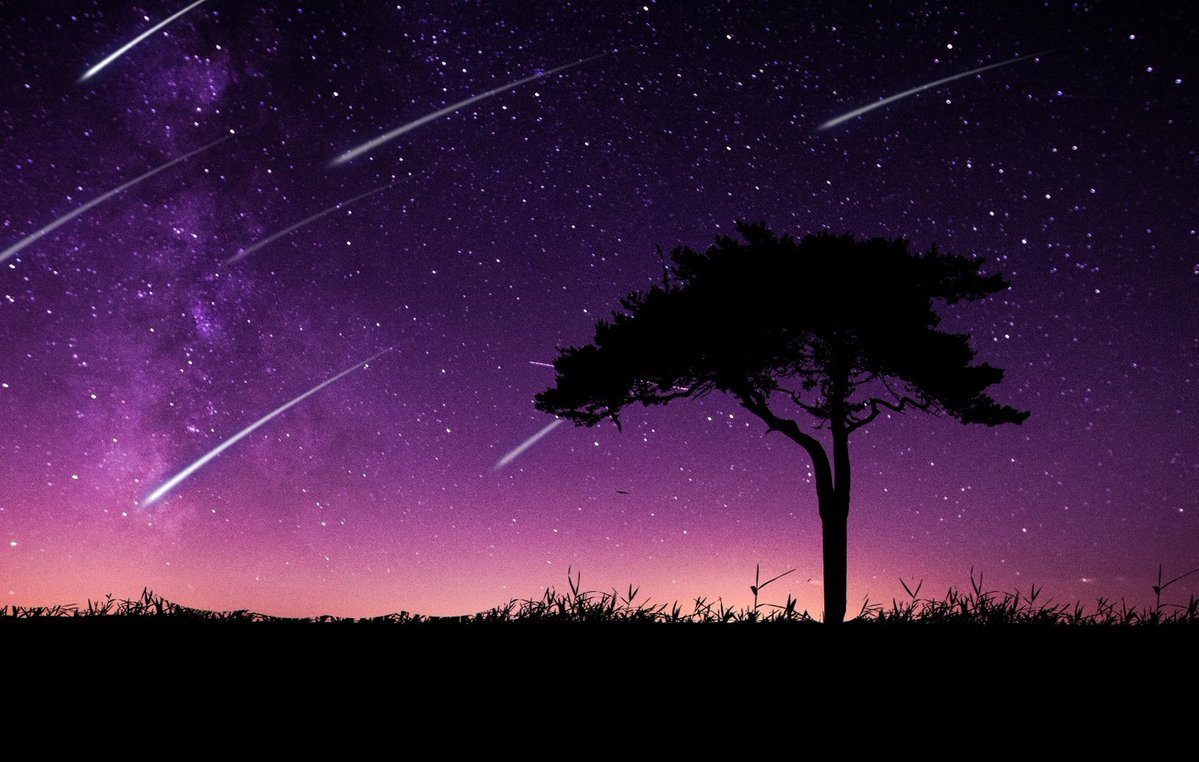 Igor Kuzle tweet media