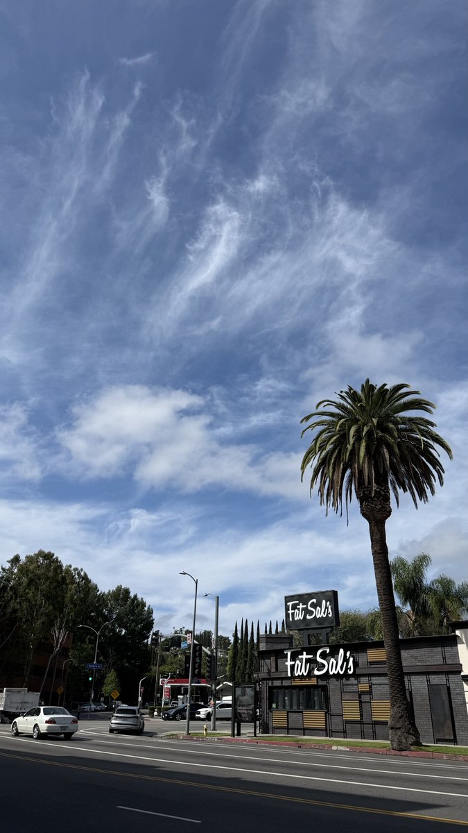 Jose Miguel tweet media