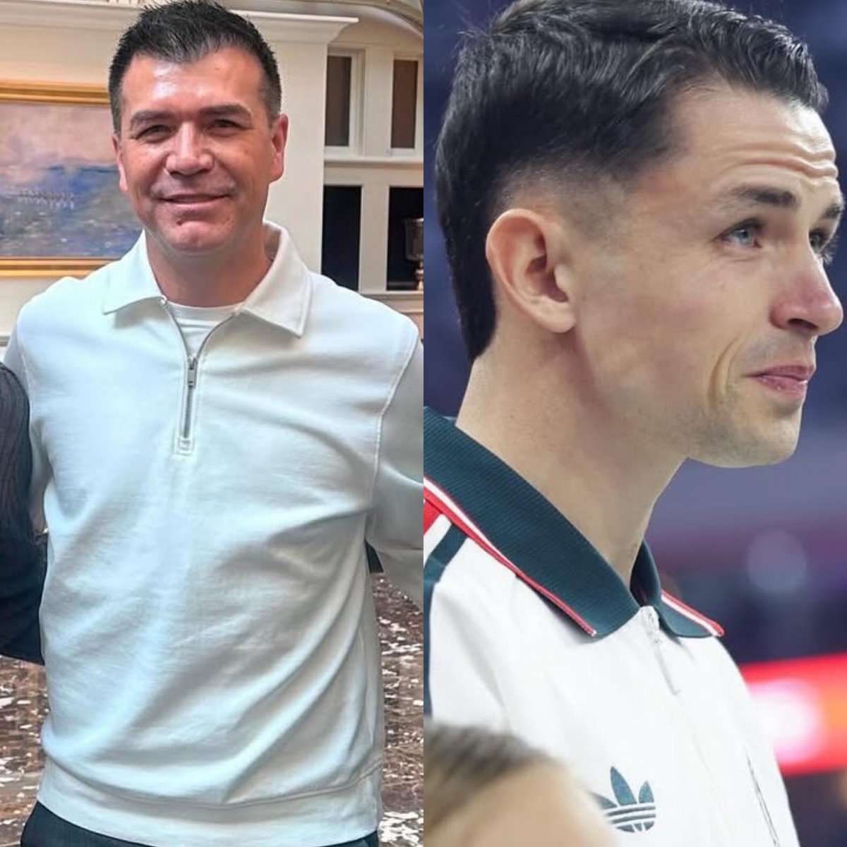 Cerebros tweet media