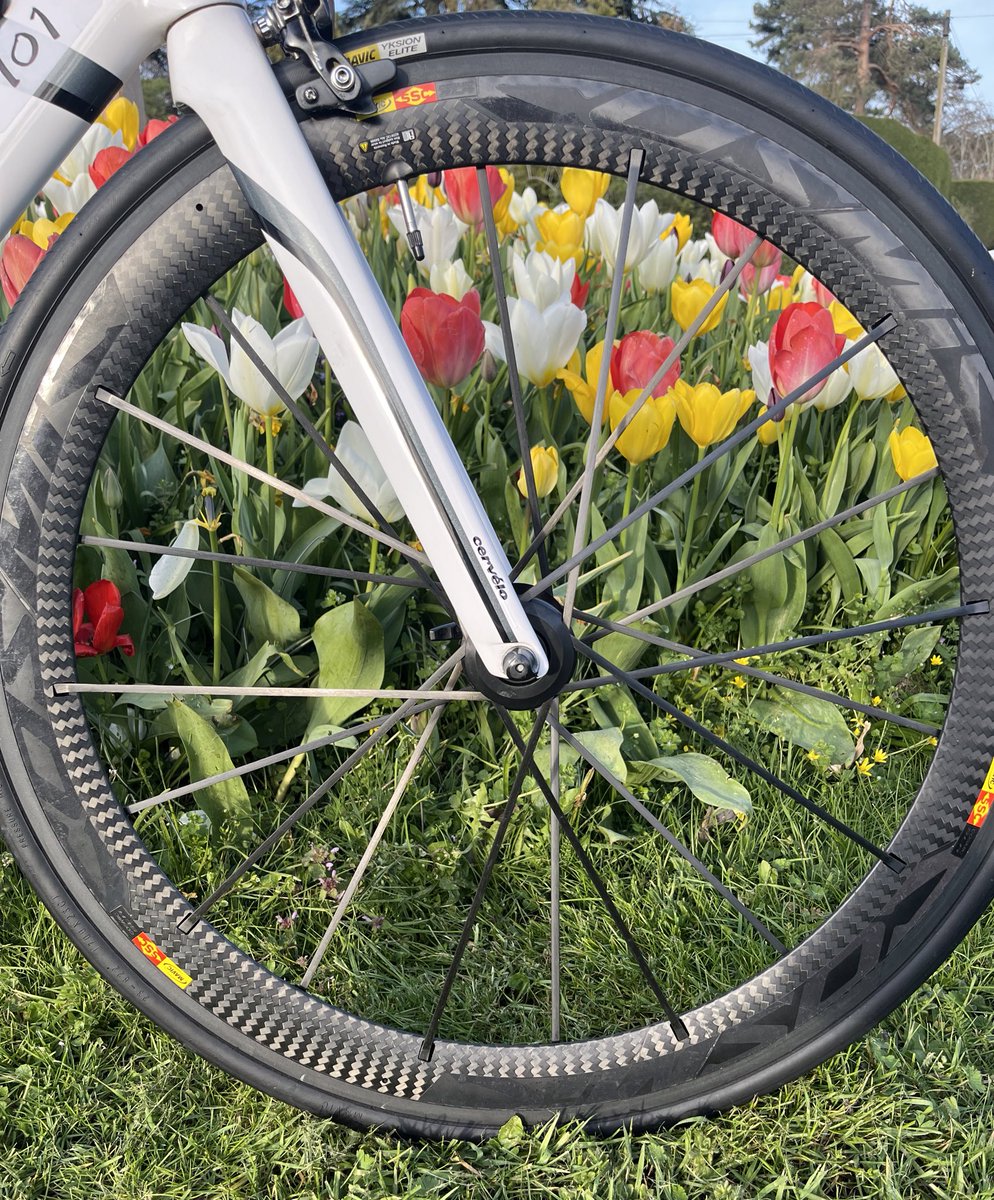 Helen Russell tweet media