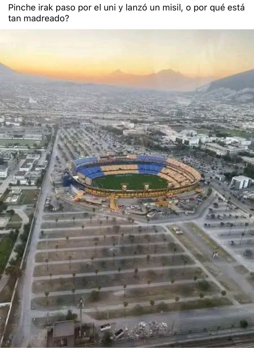 ✨ Colibrí✨ tweet media