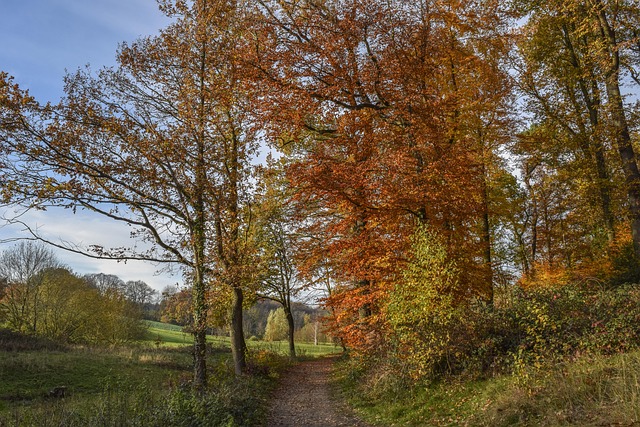 Gandza Marshall tweet media