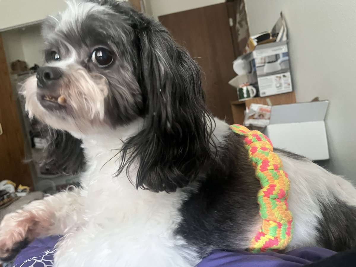 Sam 🇺🇸 tweet media