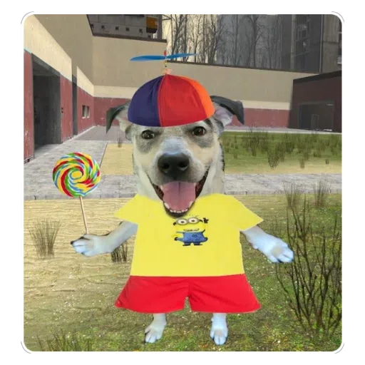 A Pumking tweet media