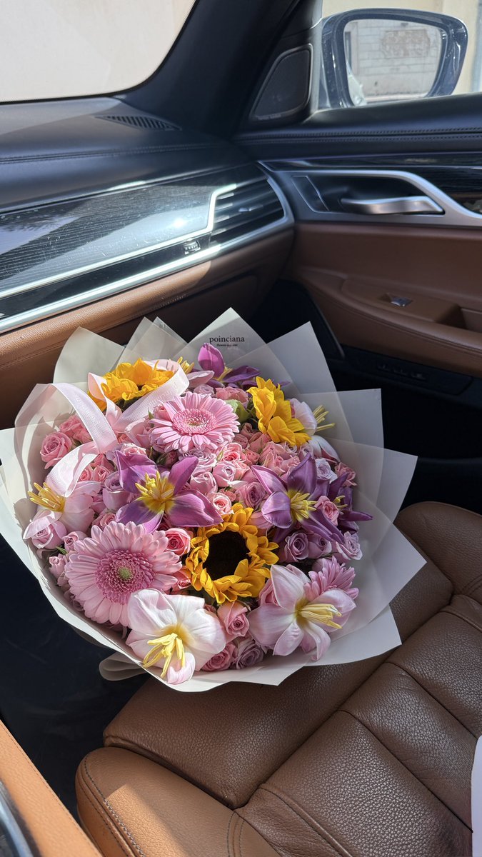 Poinciana|بونسيانا tweet media