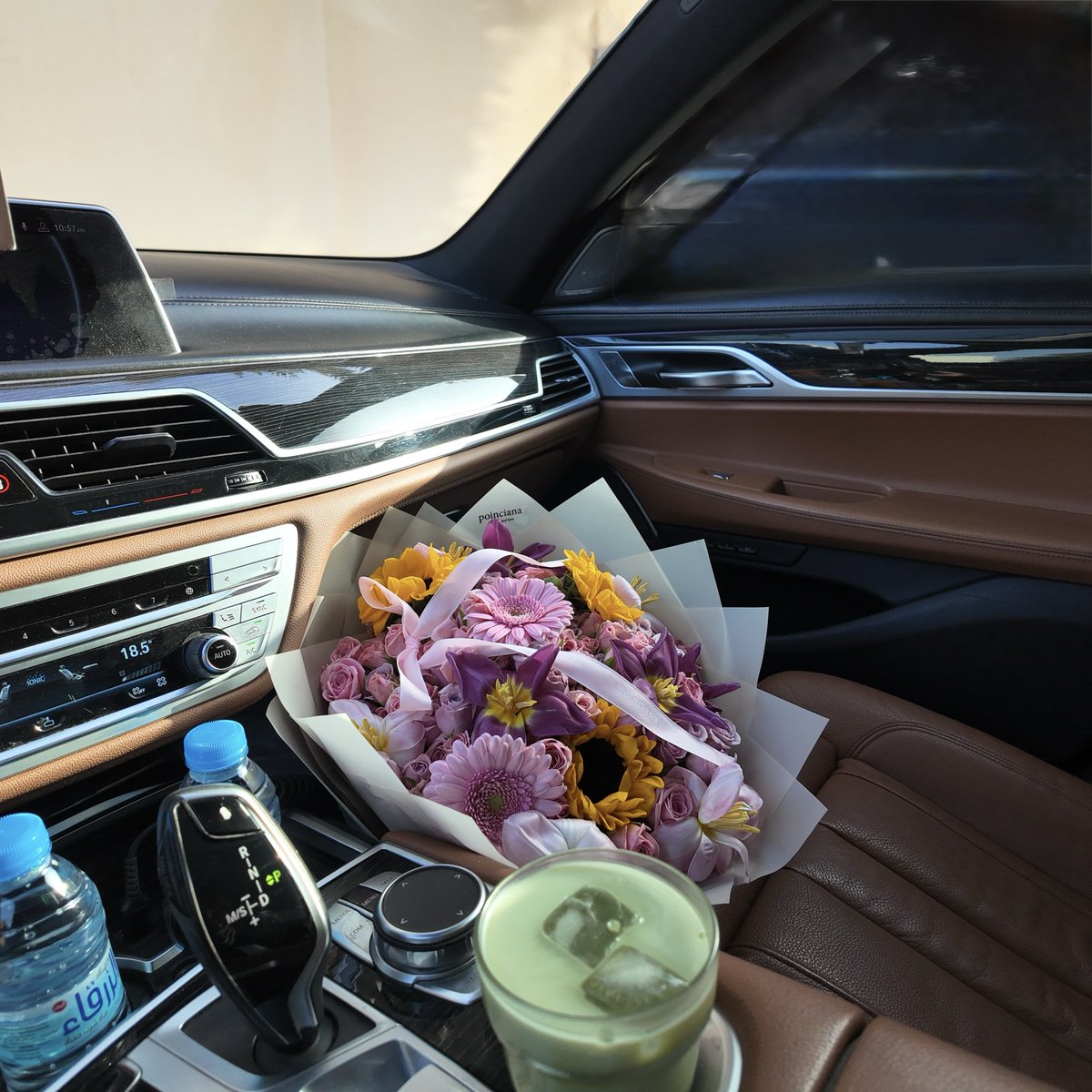 Poinciana|بونسيانا tweet media