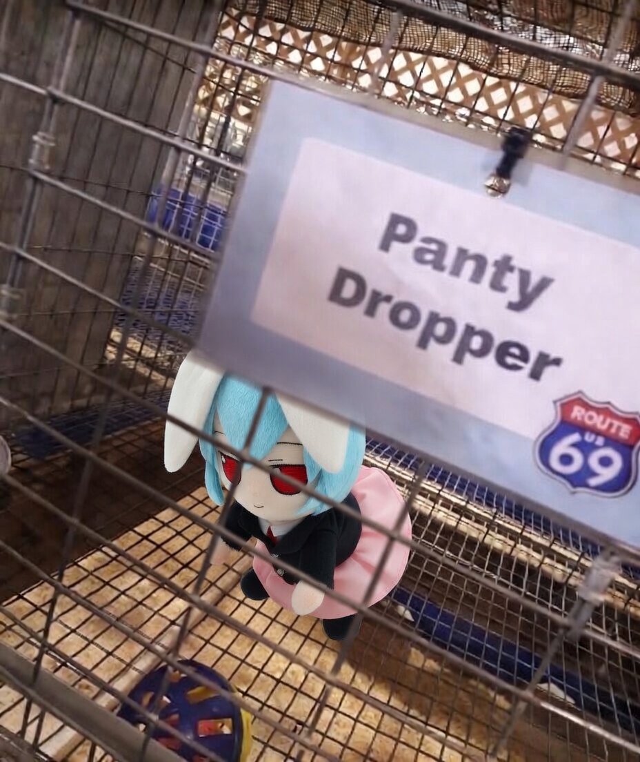 Gloomdaze tweet media