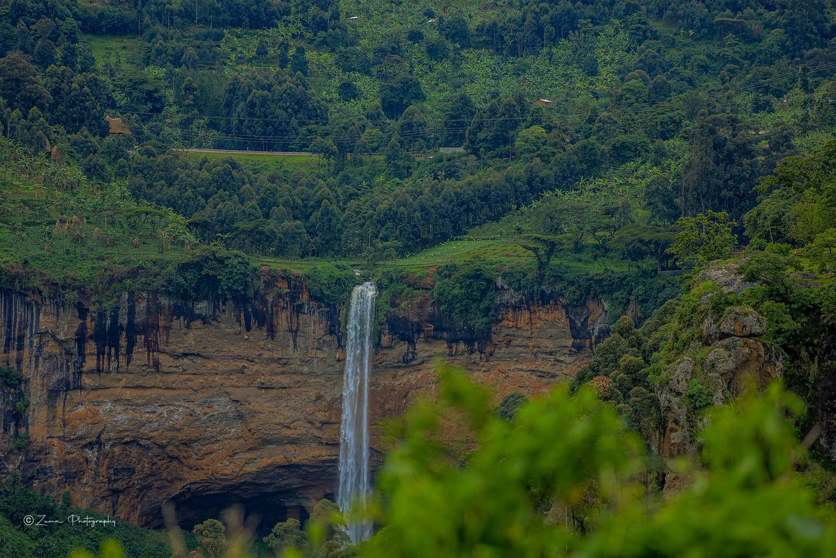 Mükalazi Jacob Zuma tweet media