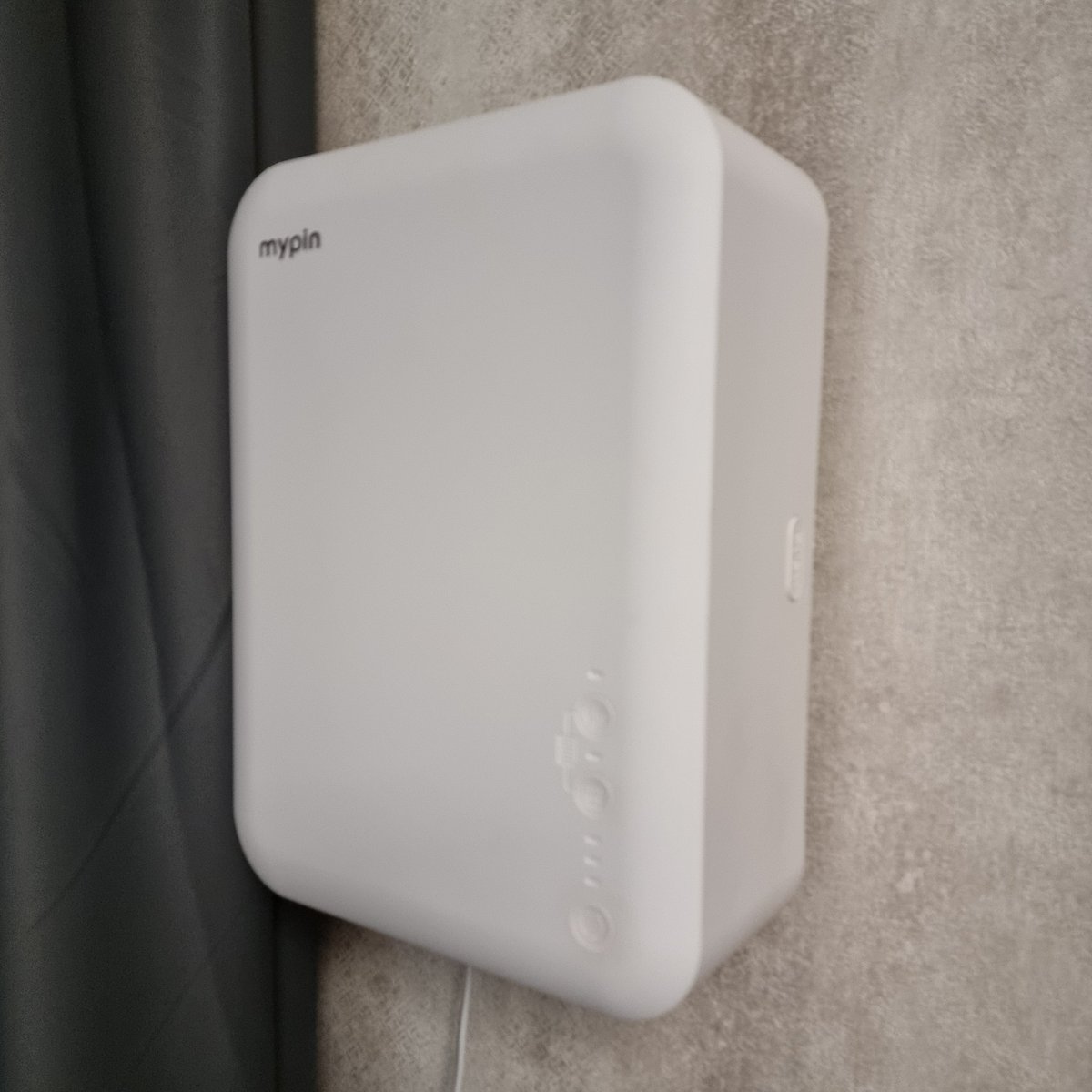 Funny Bunny tweet media