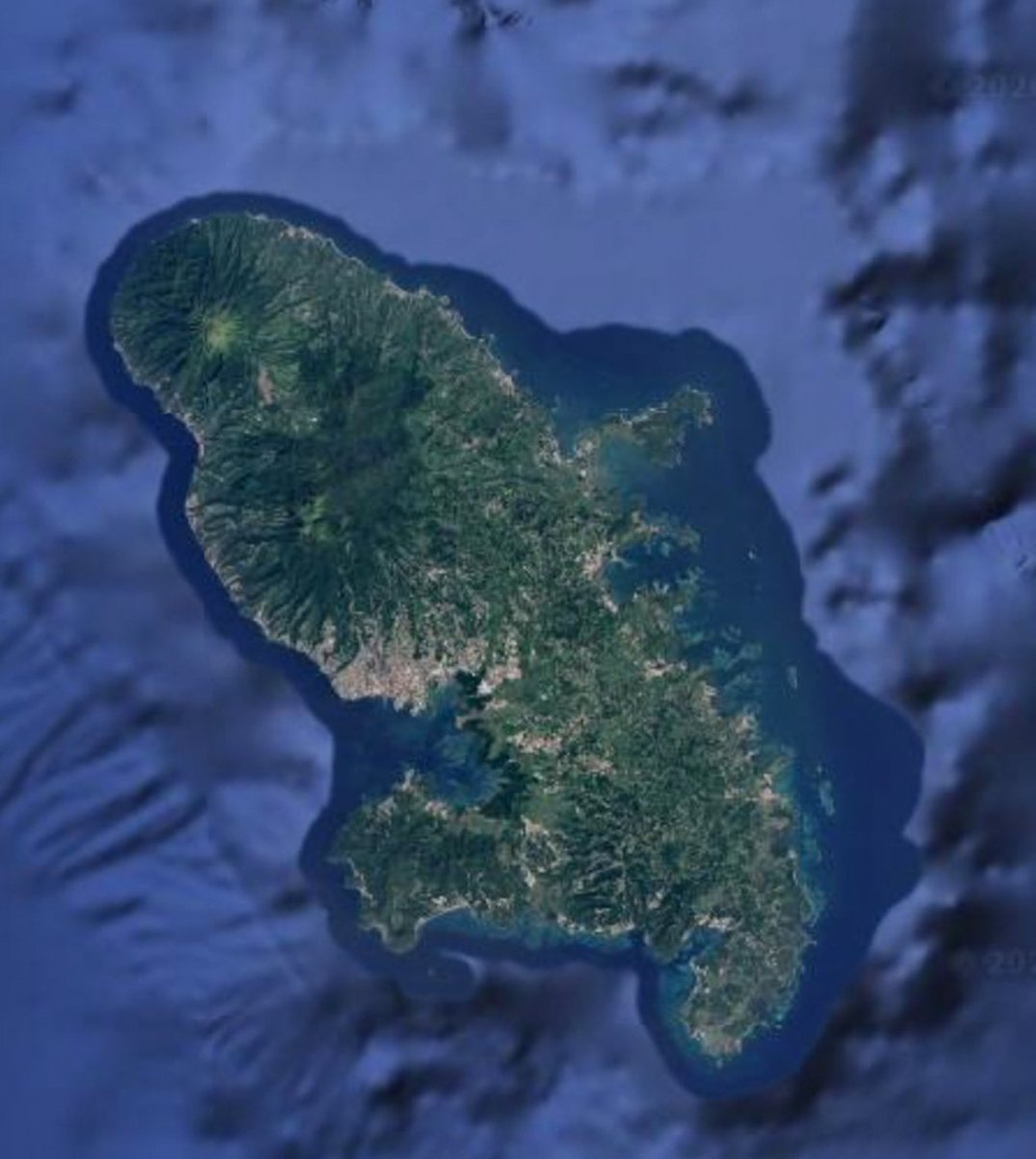 нᴀıᴛıᴀⲛᴀᴜᴛᴇ 🇭🇹 tweet media