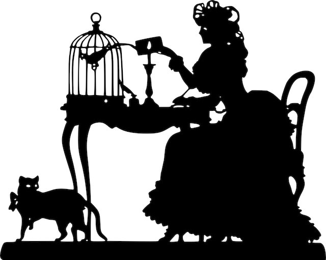 Tomy Burnside tweet media