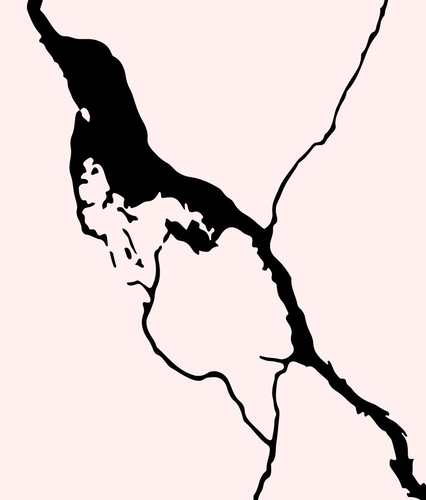 אברהם סתיו tweet media