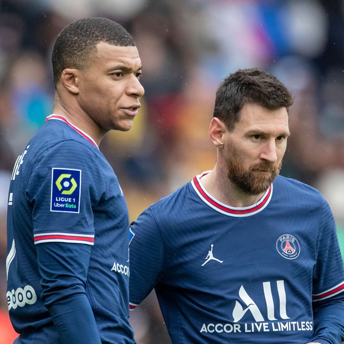 عمرو tweet media