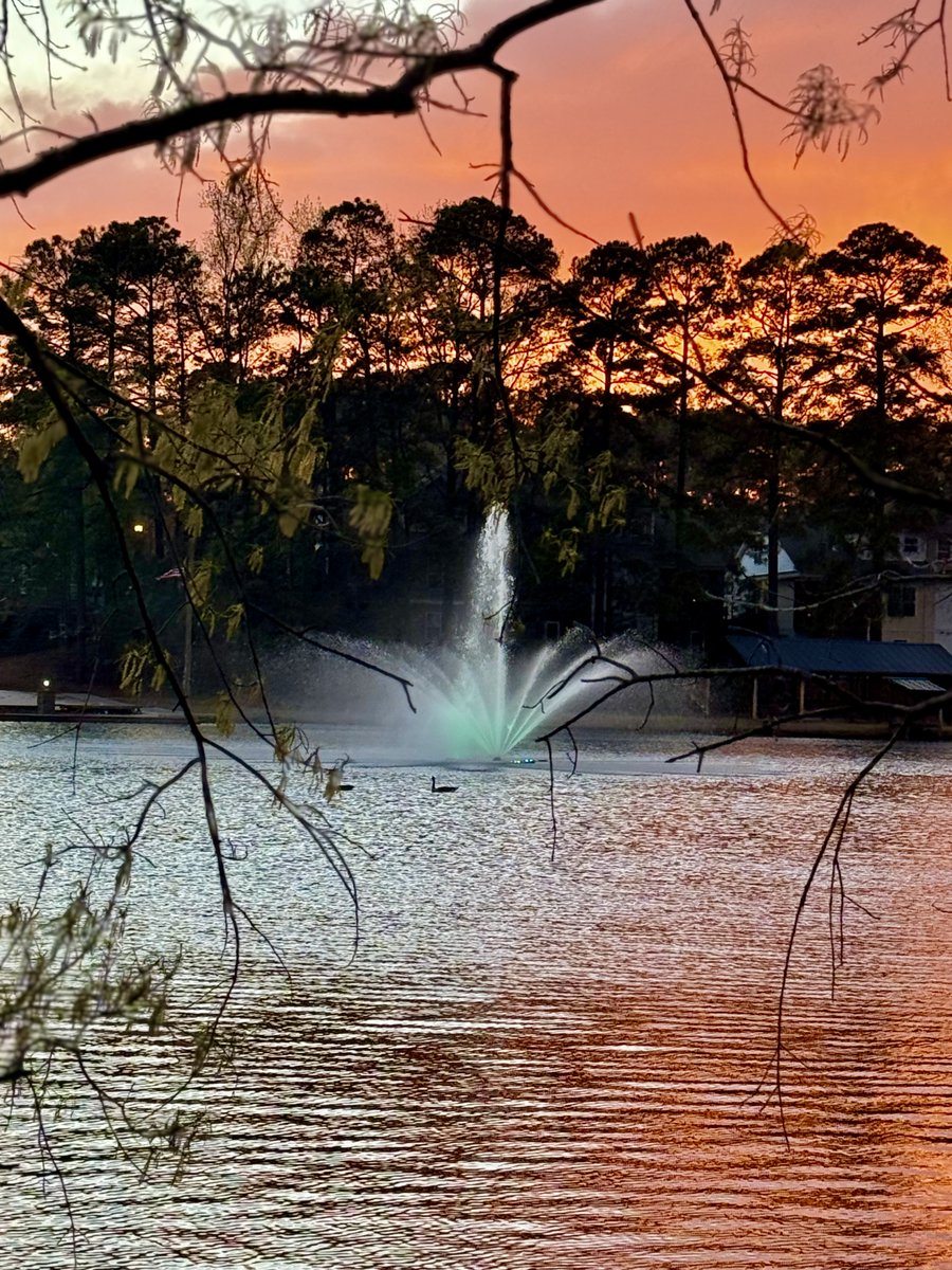 FosterLake's tweet photo. https://t.co/MuYQ2fif0E