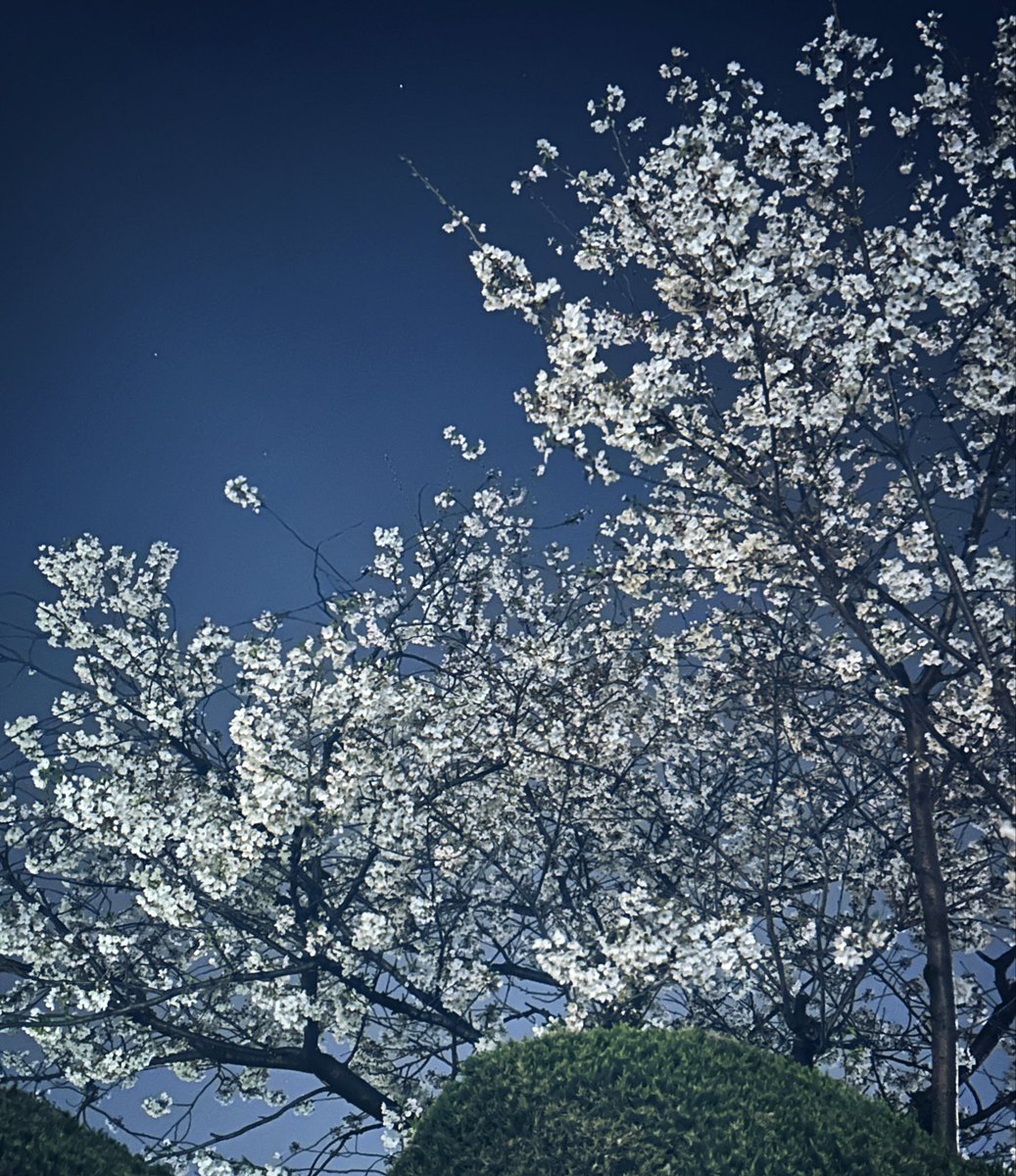 153☆ASTRO☆Love☆ tweet media