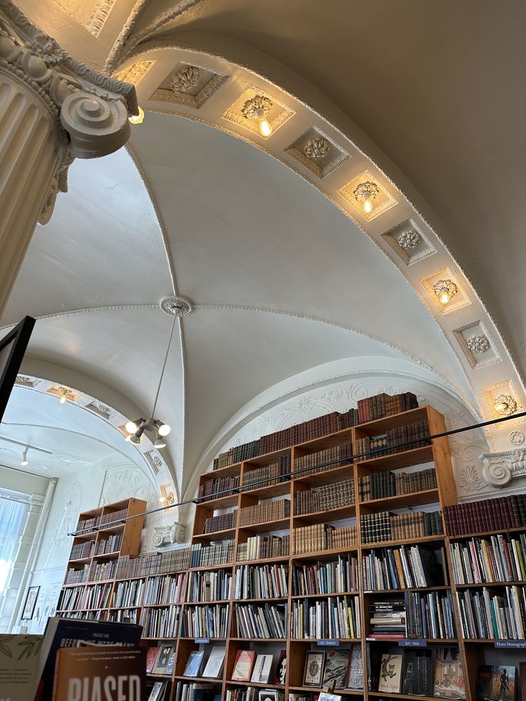 𝙳𝚊𝚛𝚔 𝚊𝚌𝚊𝚍𝚎𝚖𝚒𝚊 𝚍𝚛𝚎𝚊𝚖𝚜 tweet media