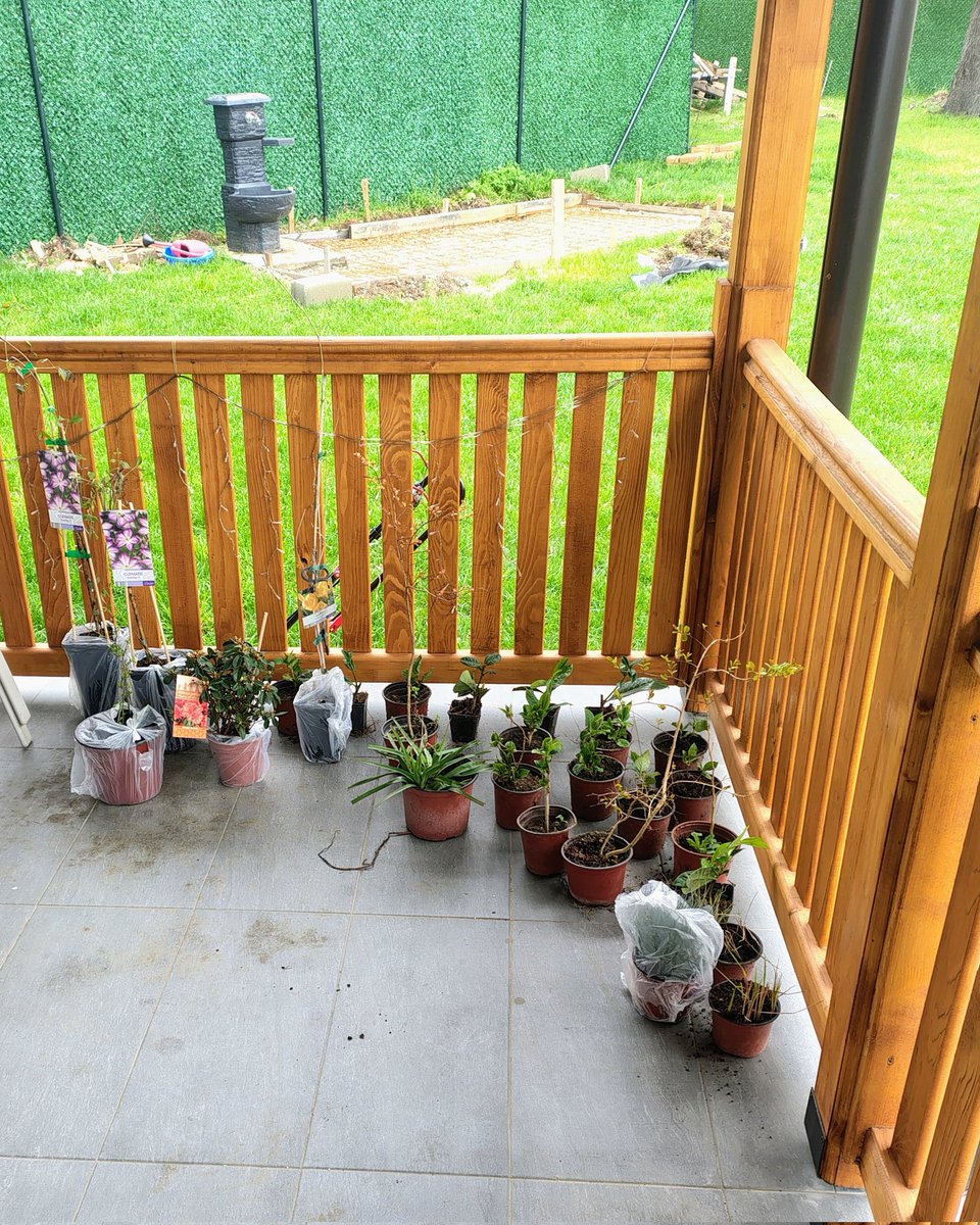 Aleksandra Rankovic tweet media