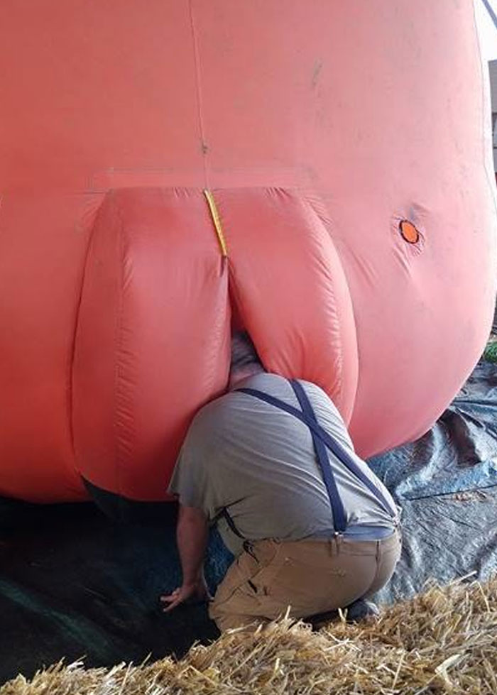 tom kopi tweet media