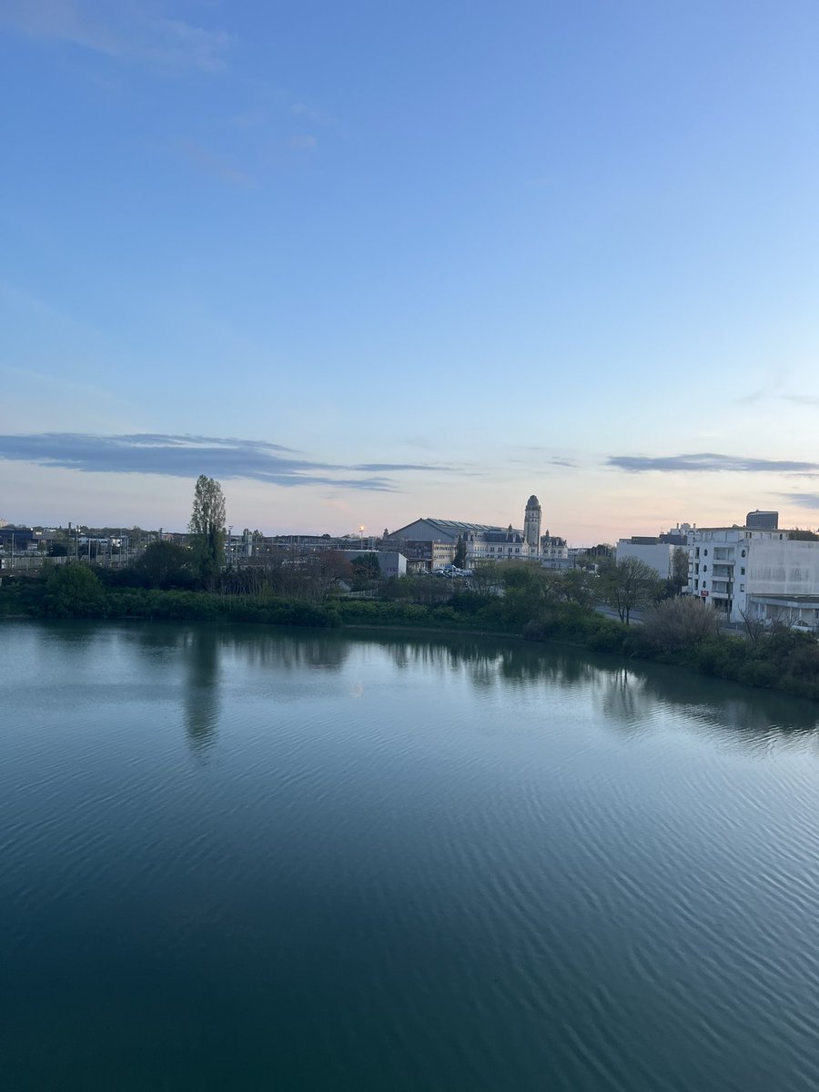 KC Kyômoto 🏳️‍🌈🪼 tweet media