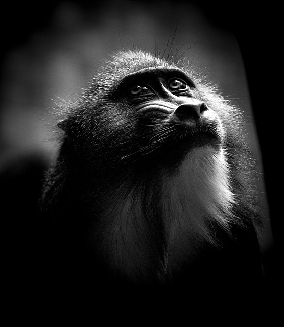 Lauren Wallace tweet media