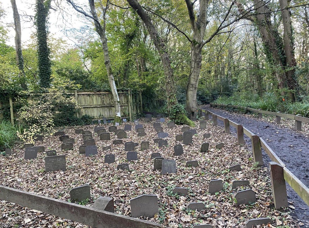 SpottedPage's tweet photo. Save our beautiful Penrhos in Holyhead, Wales. #AchubEinPenrhos #PerchnogaetgGymunedol #SaveOurPenrhos #CommunityOwnership
Save Penrhos https://t.co/NlMYyZOq3x