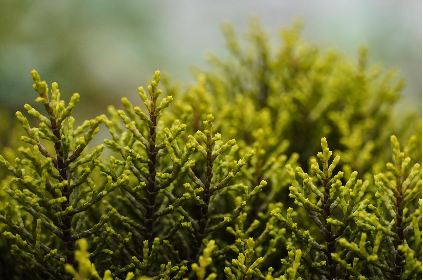 I AM TAKING CHARGE™ tweet media