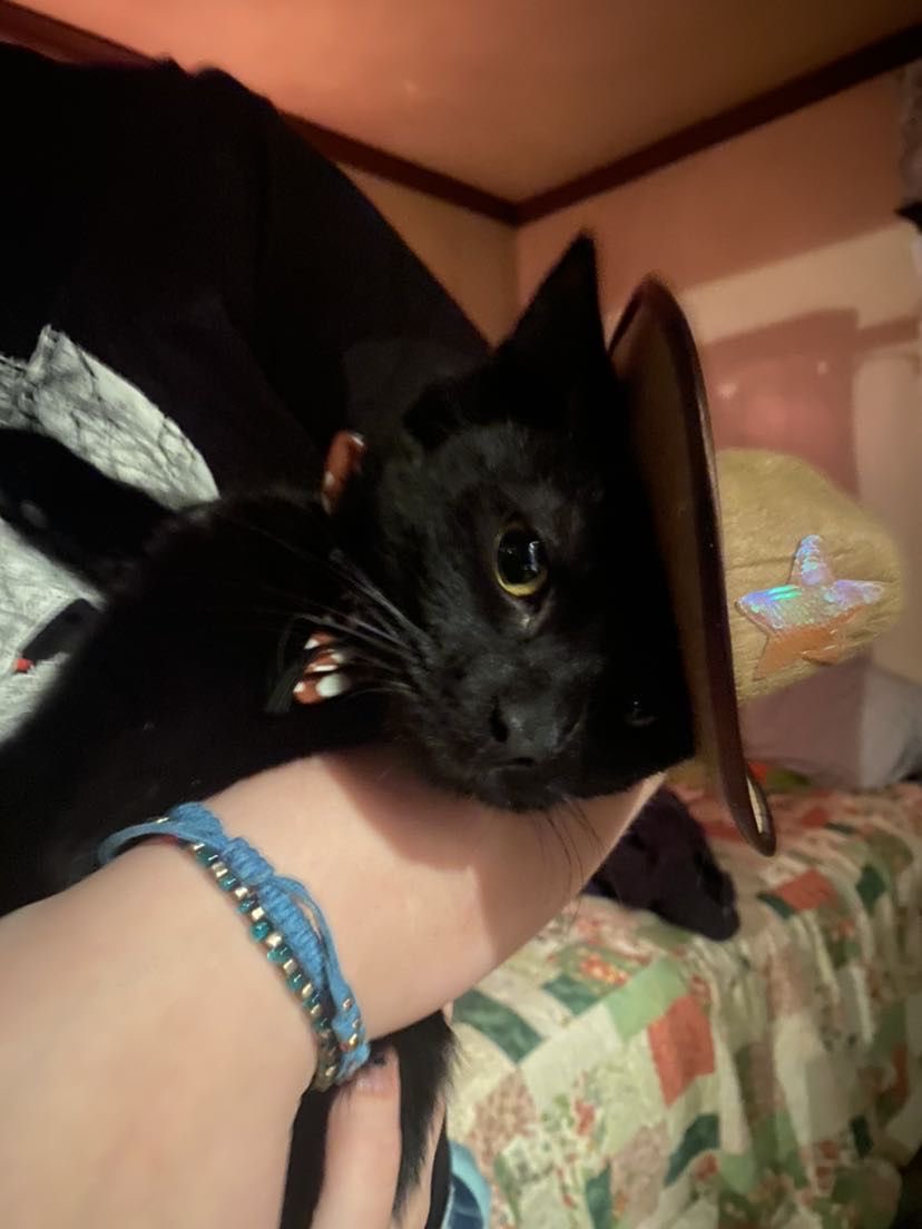 ؘ 𝓼ophie tweet media