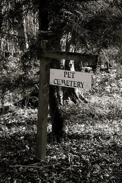 Shane (is editing) tweet media