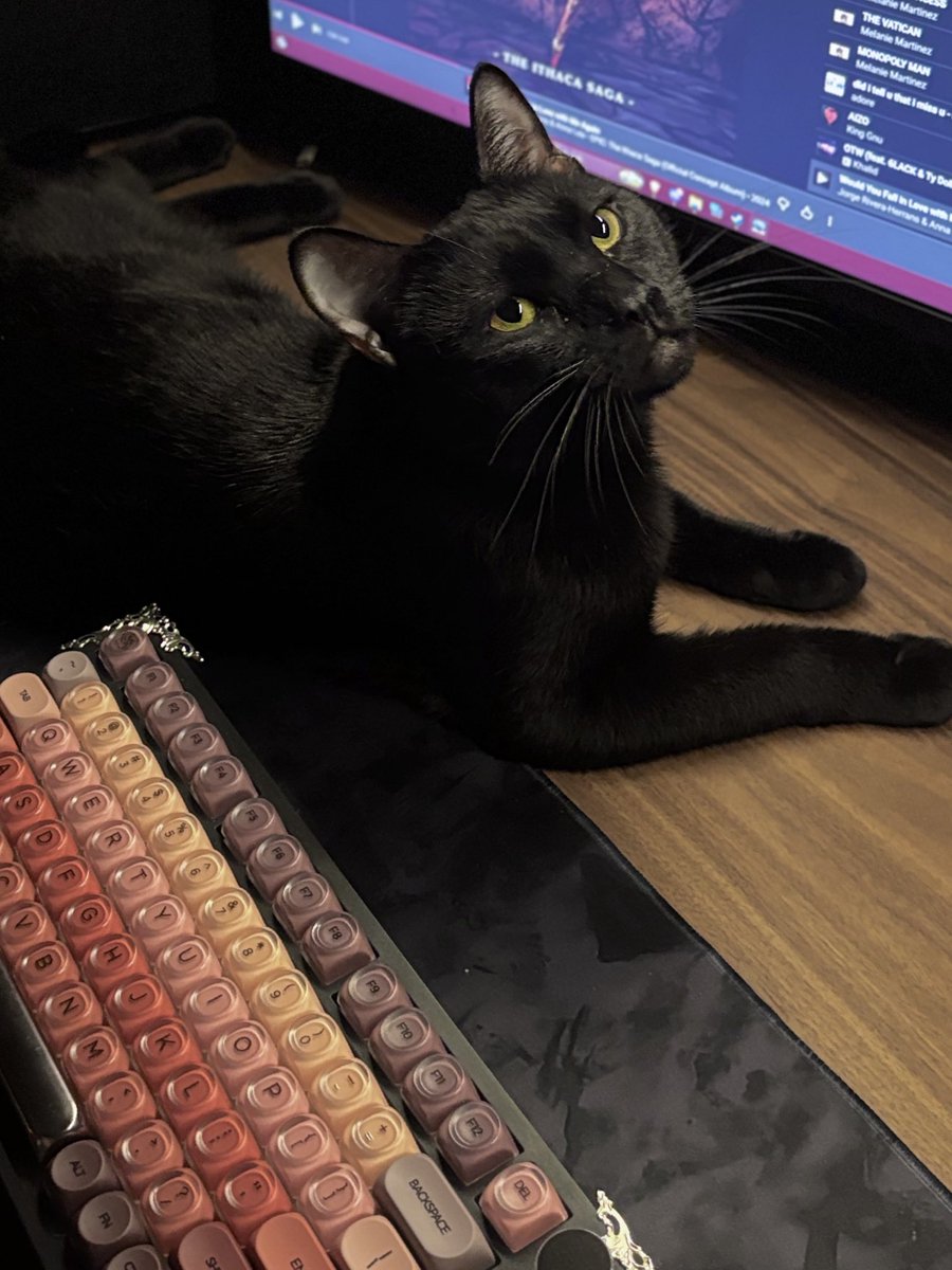 𝔇𝔦𝚟𝔞 鬼 ⎈ tweet media