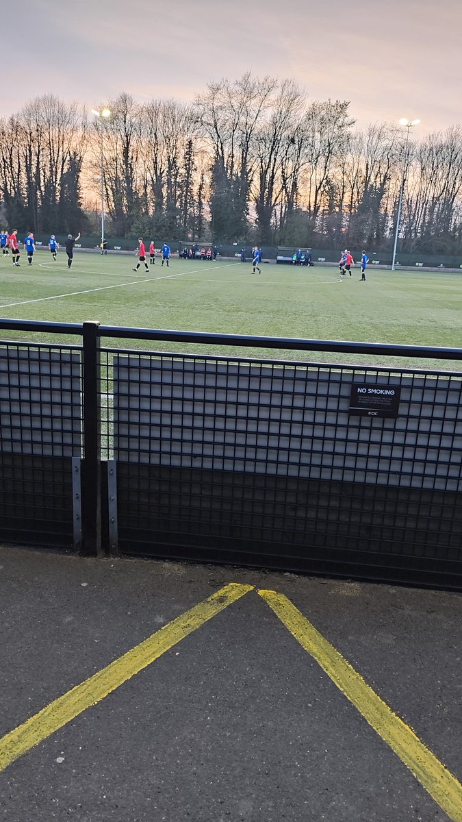 David Perfect tweet media