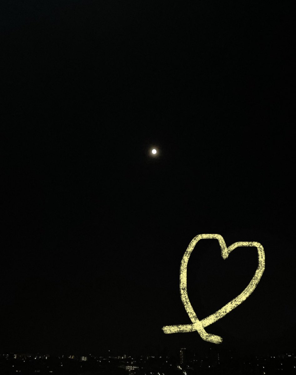 プリマベーラのハル:) tweet media