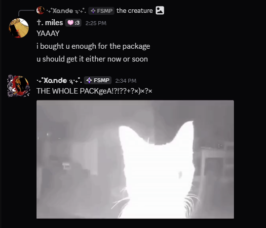 xande! 🪲 tweet media