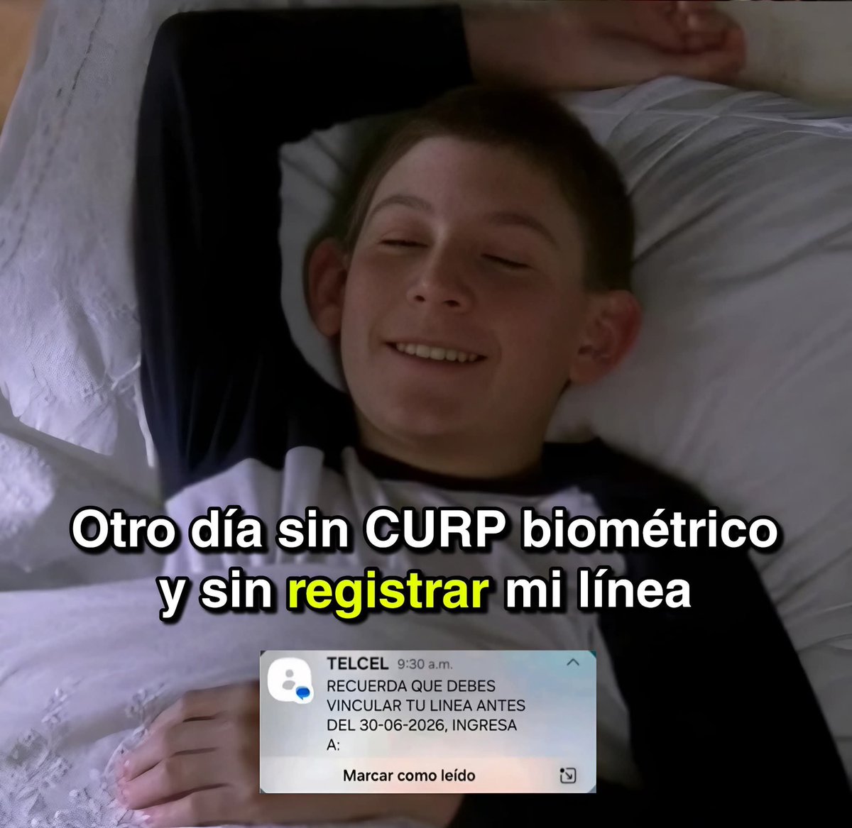 El Programador Senior tweet media