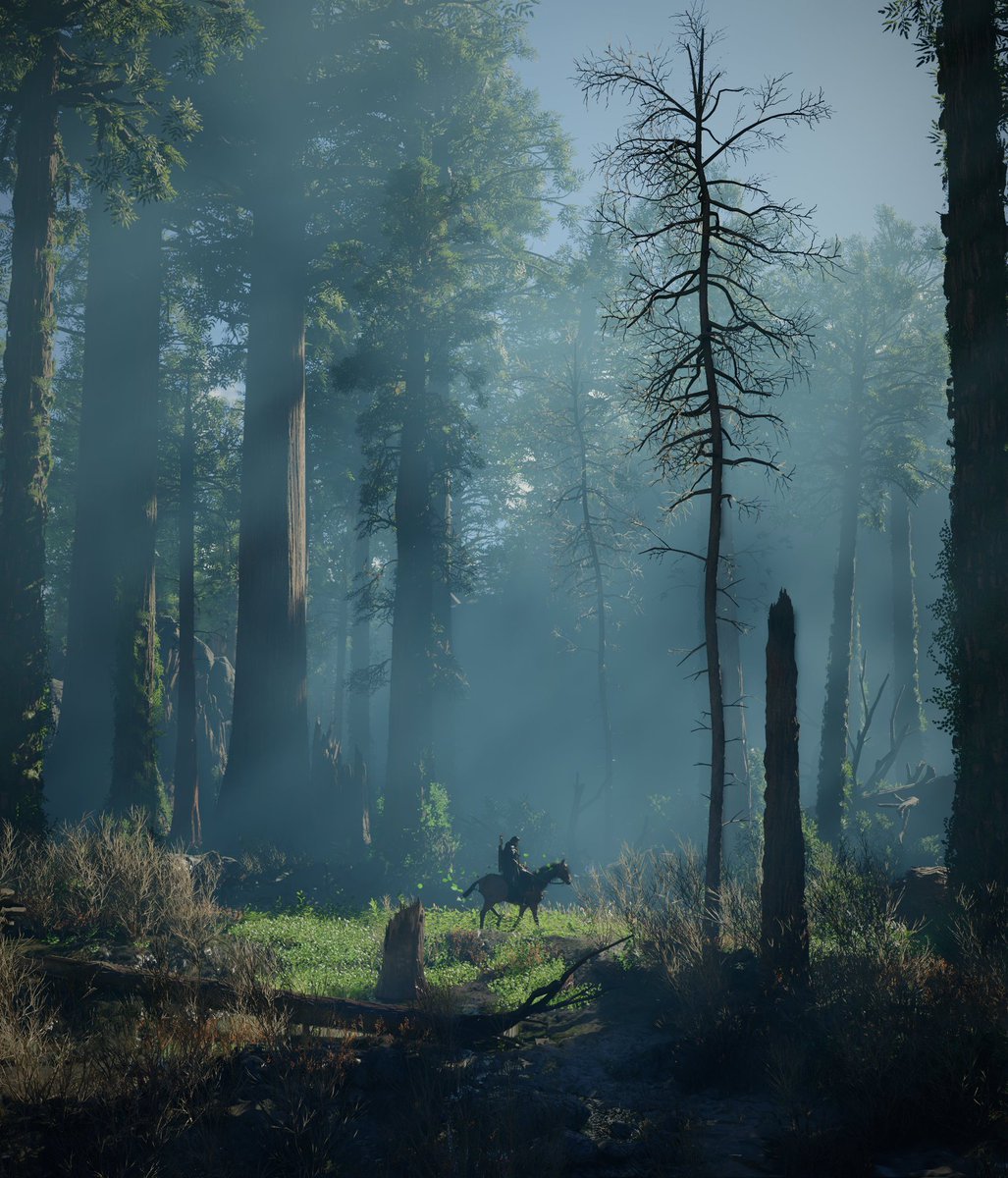 Video Games Wallpapers tweet media