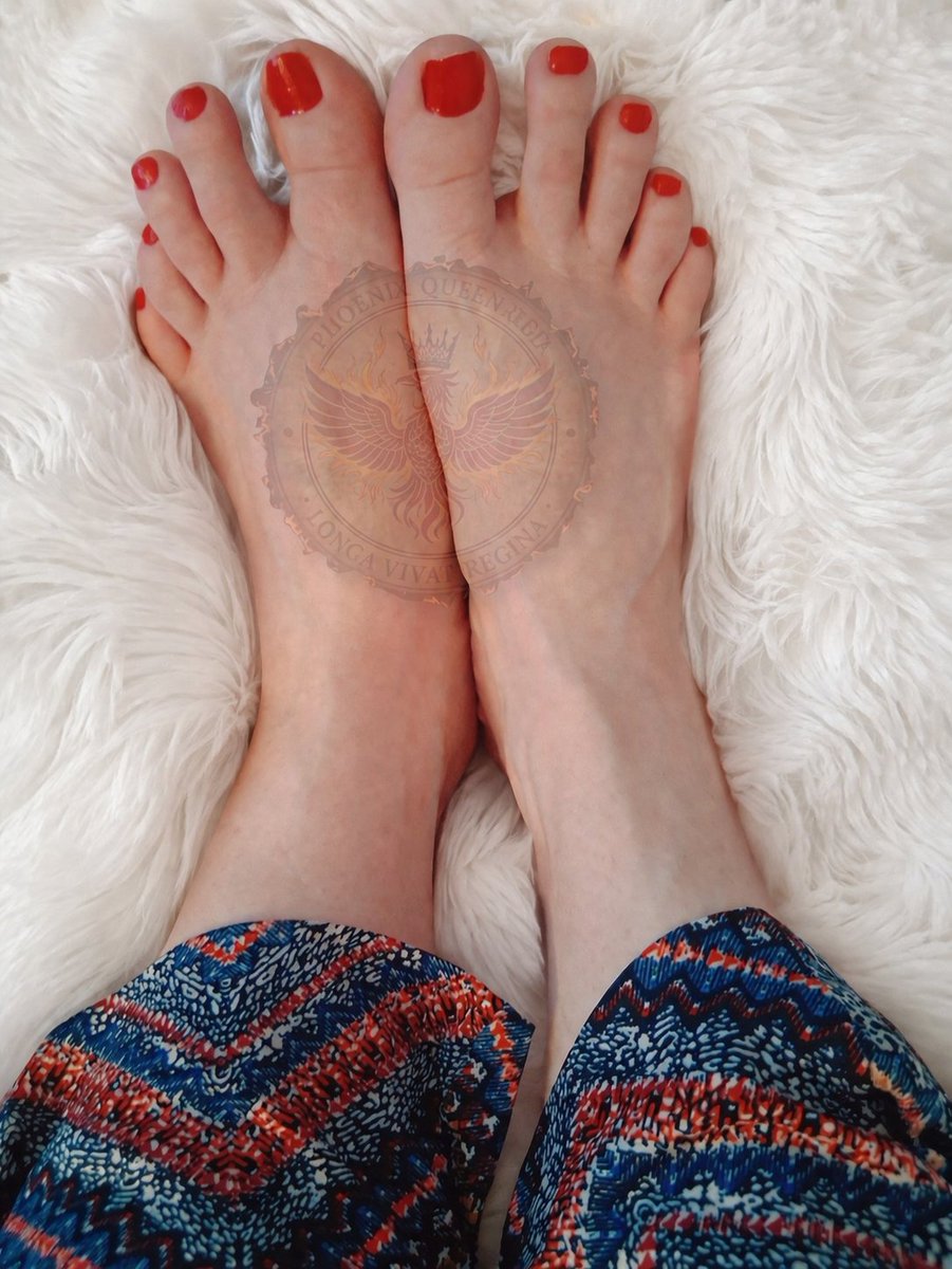 PhoenixQueenRed's tweet photo. Good Afternoon Loyals! Royal Foot Slaves are always the most coveted of all foot slaves. Who is next to kneel and worship at the Altar of the Phoenix Queen Red?-🔥🐦‍🔥👑 https://t.co/1ugISQY3LX