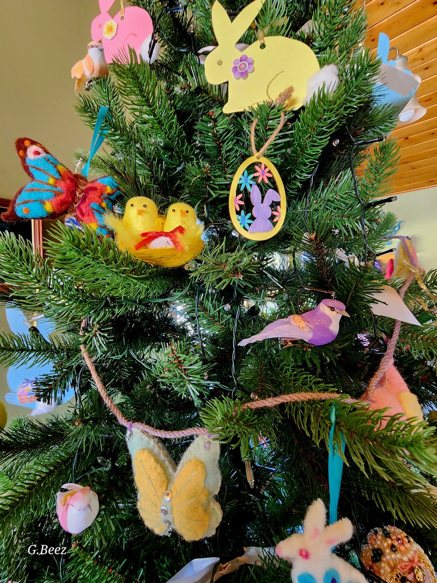 Gillian Beesley tweet media