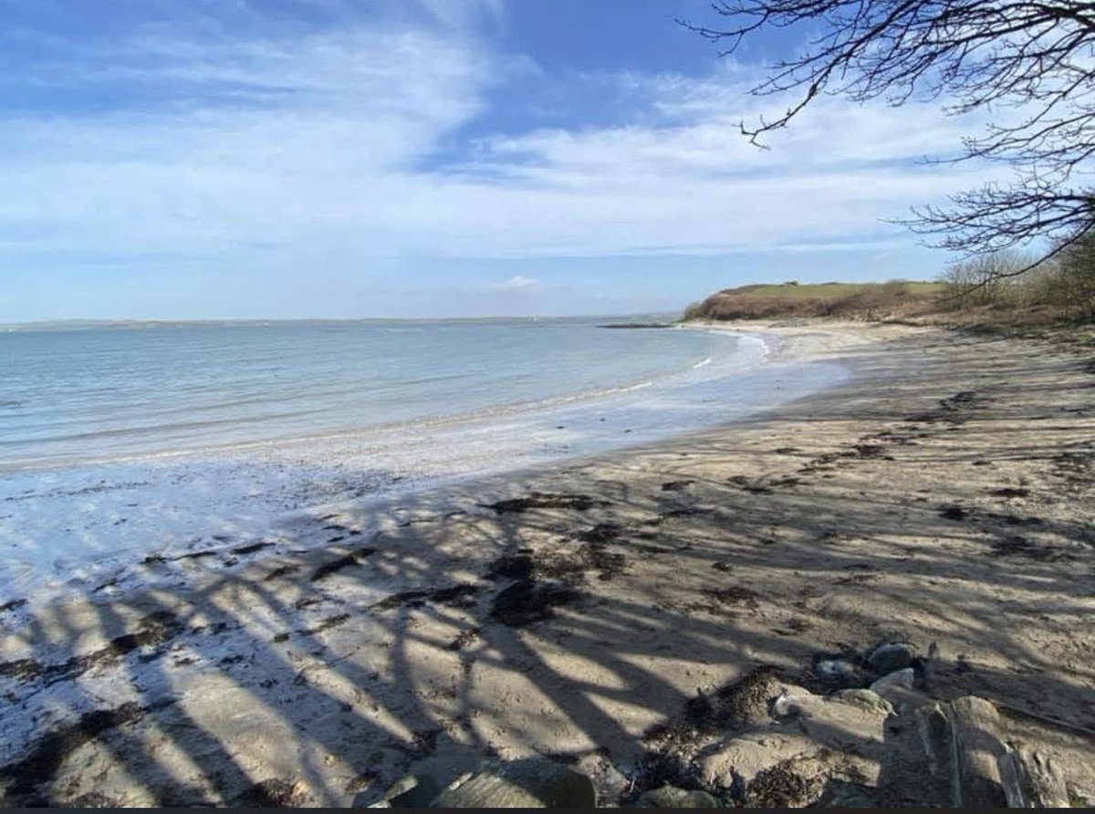 SpottedPage's tweet photo. Save our beautiful Penrhos in Holyhead, Wales. #AchubEinPenrhos #PerchnogaetgGymunedol #SaveOurPenrhos #CommunityOwnership
Save Penrhos https://t.co/dU1atqThAe