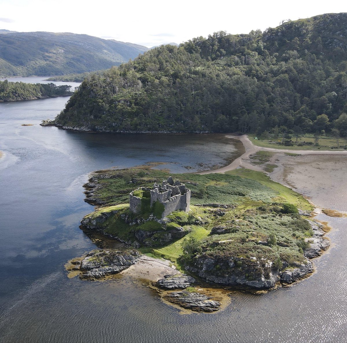 Owen McCormick tweet media