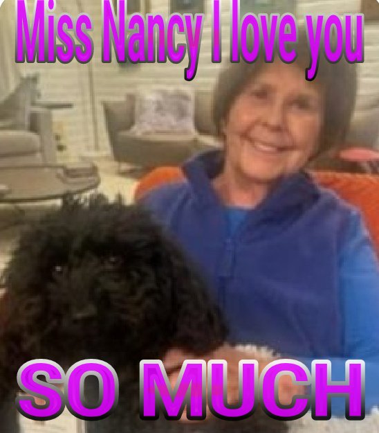 5 followers no more tweet media