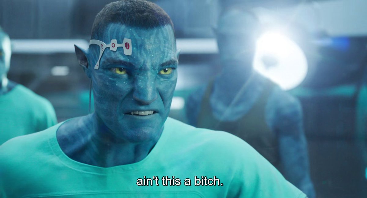 Flilis 🇧🇷 tweet media