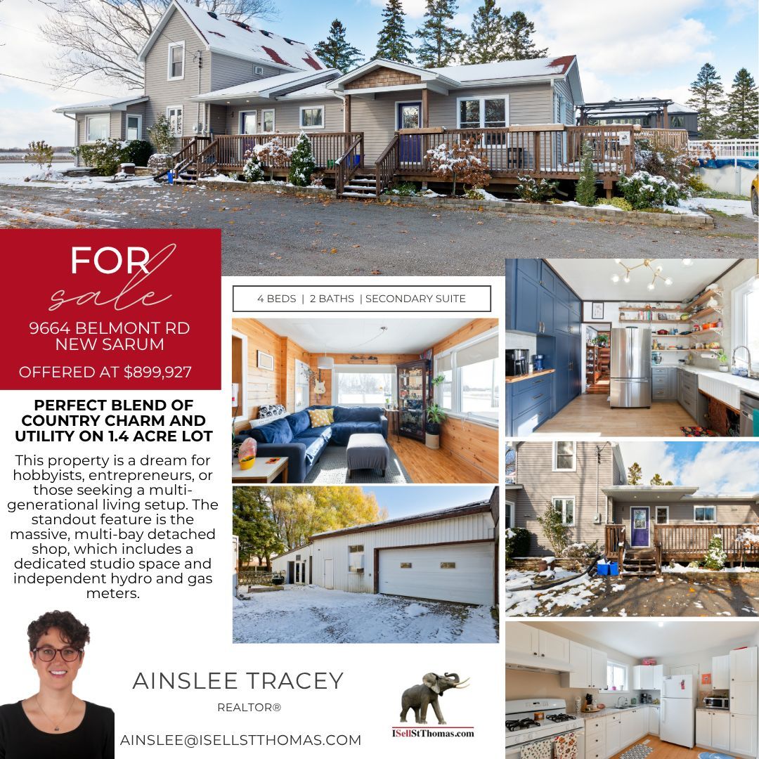 Ainslee Tracey** tweet media