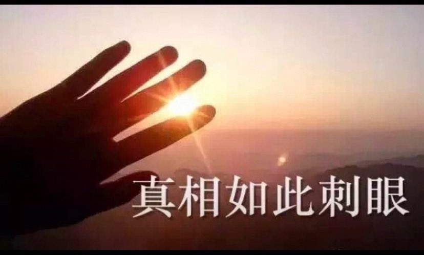 Gobi East(戈壁東) tweet media