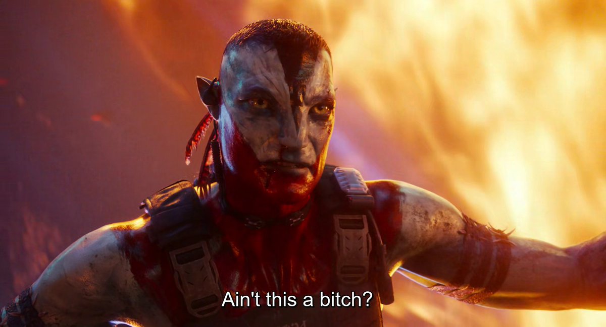 Flilis 🇧🇷 tweet media