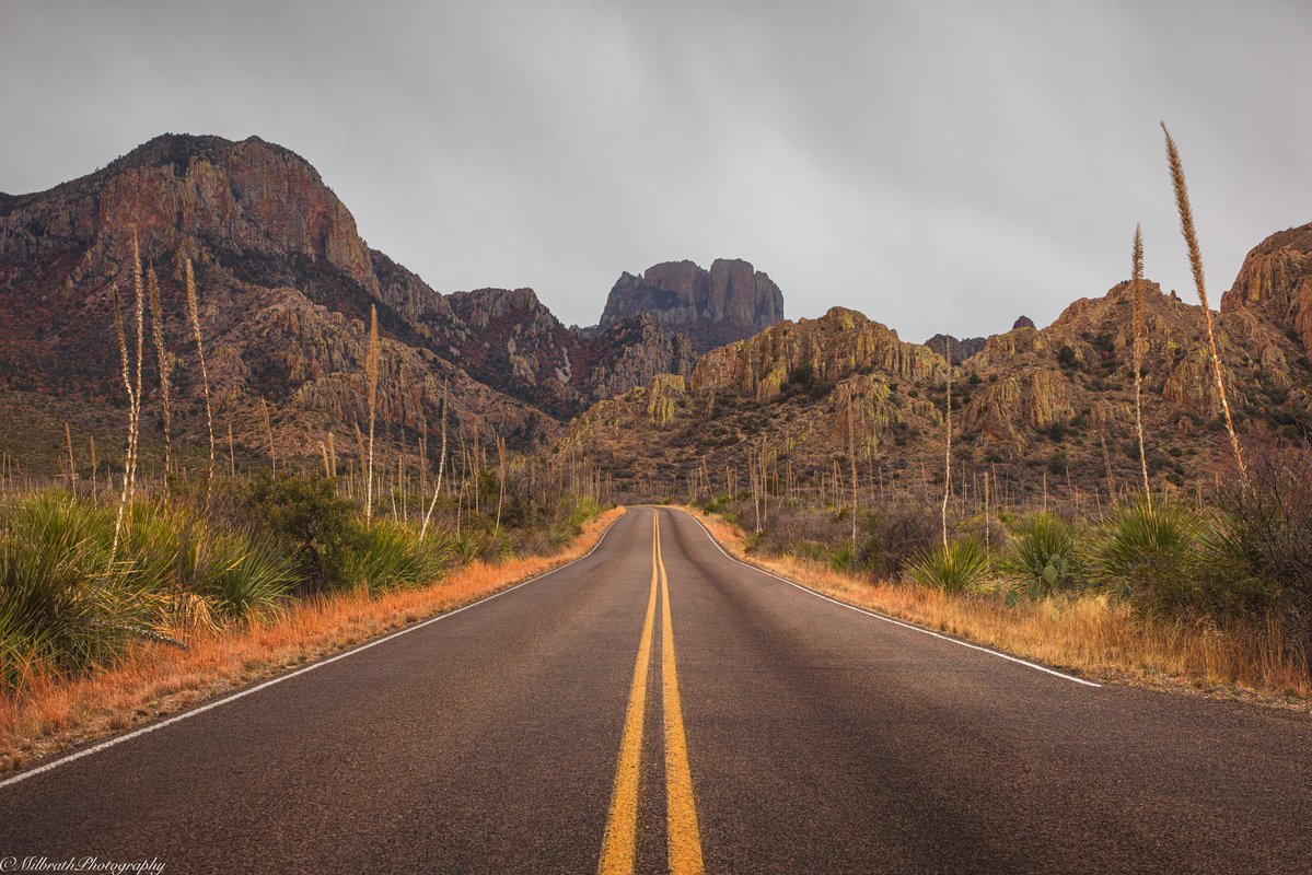 Ben Milbrath tweet media