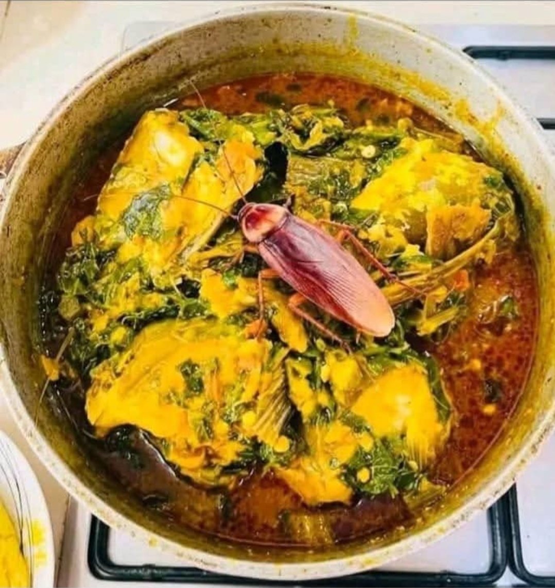 Meewah 🍷 tweet media