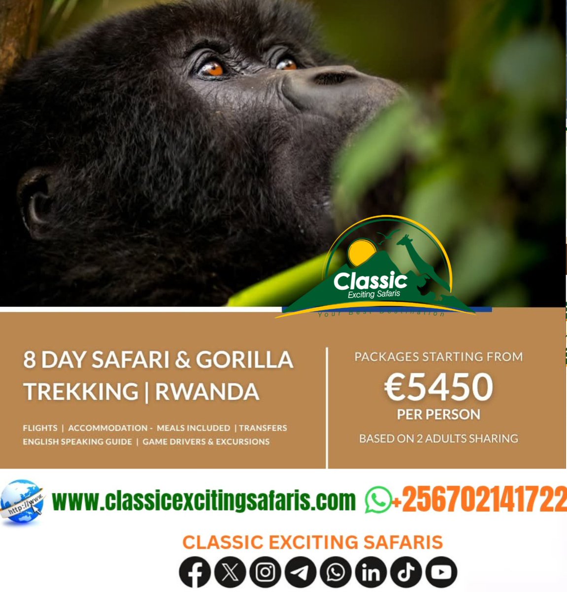 Classic exciting Safaris ltd tweet media