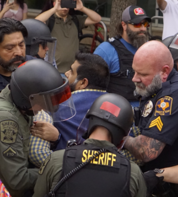 NizNellie3 tweet media